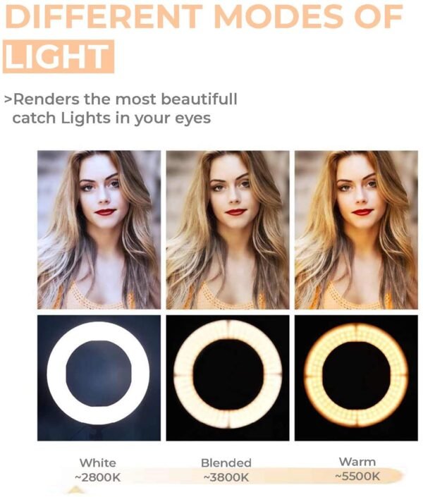 Ring Light 10" Inches Big LED Ring Light for Photo and Video